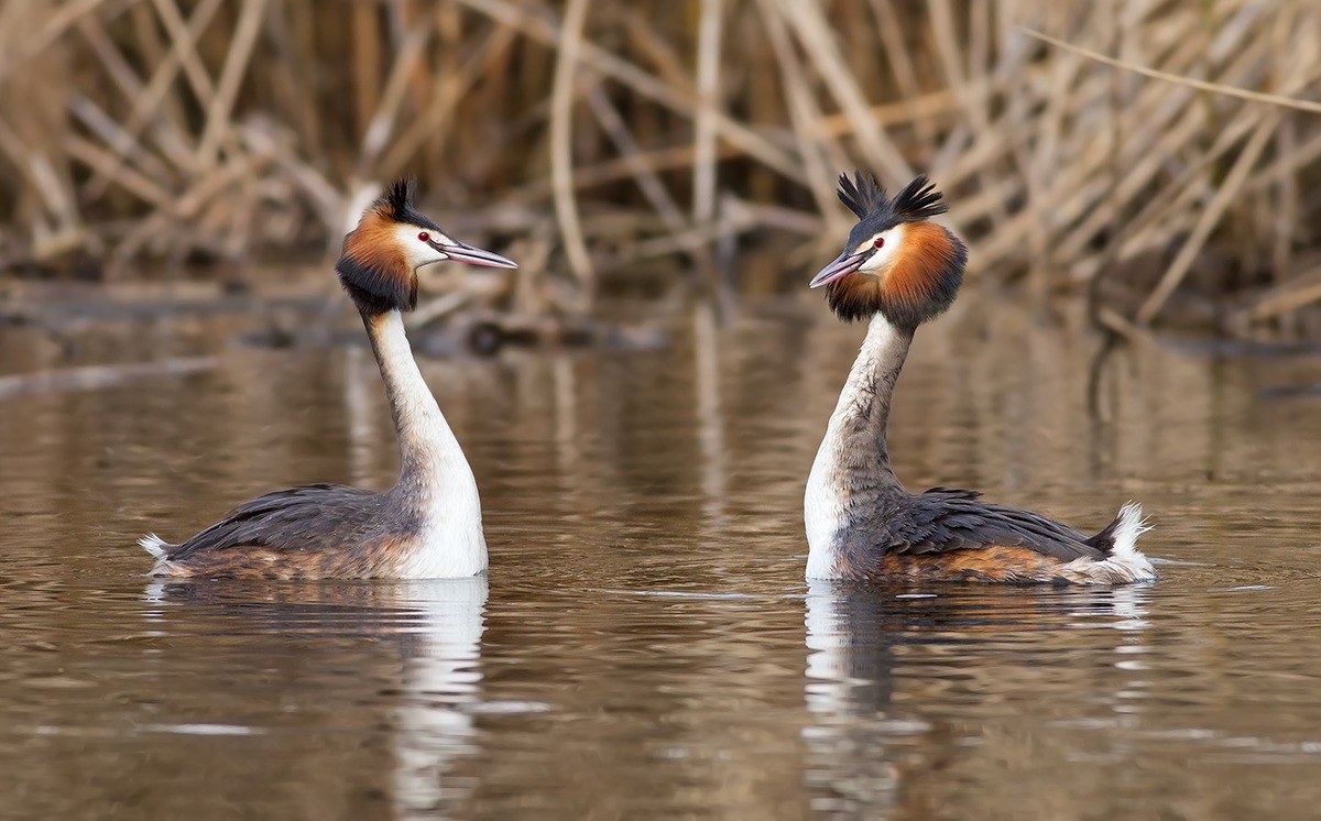 Questione di sguardi