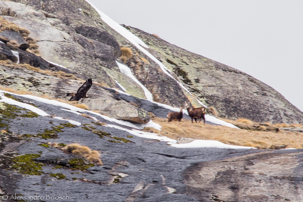 Il bello della natura