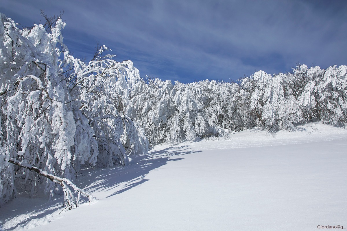The meadows of Monte Falco