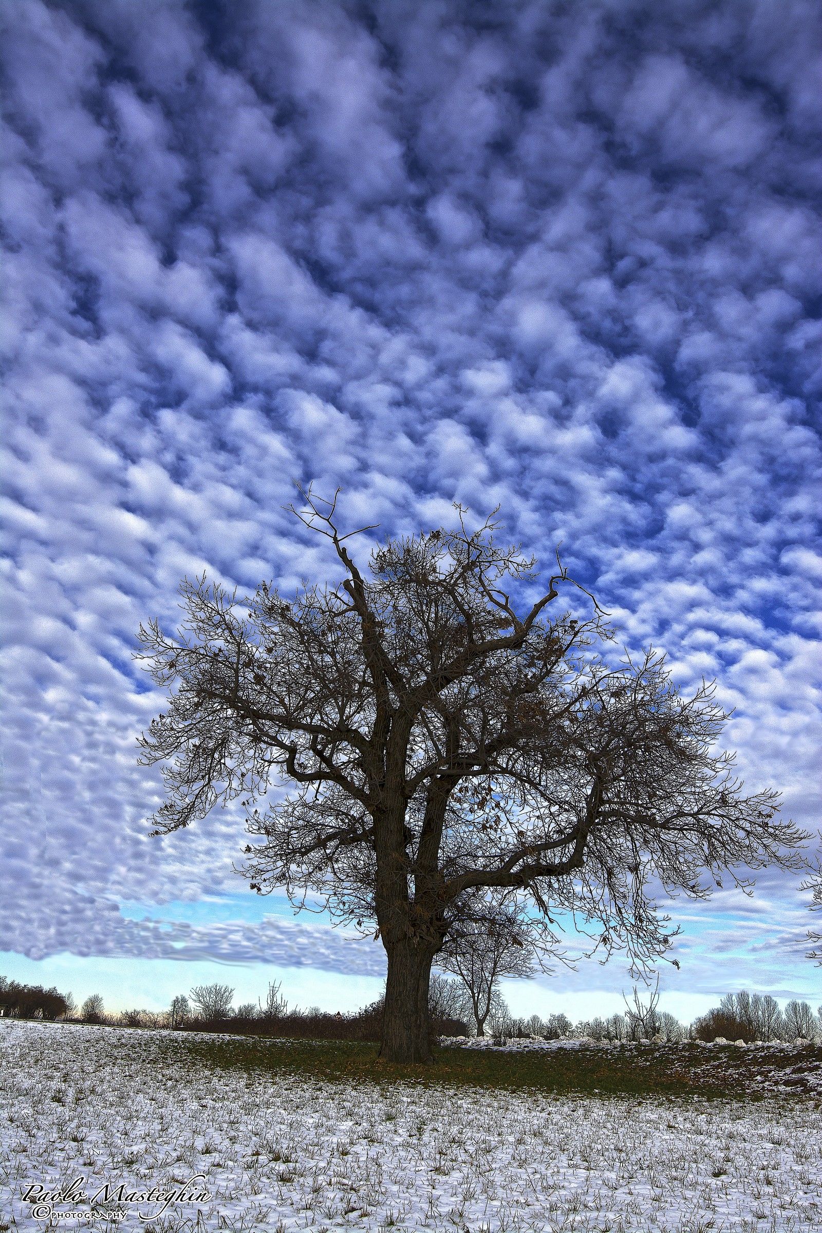 Aria di primavera...