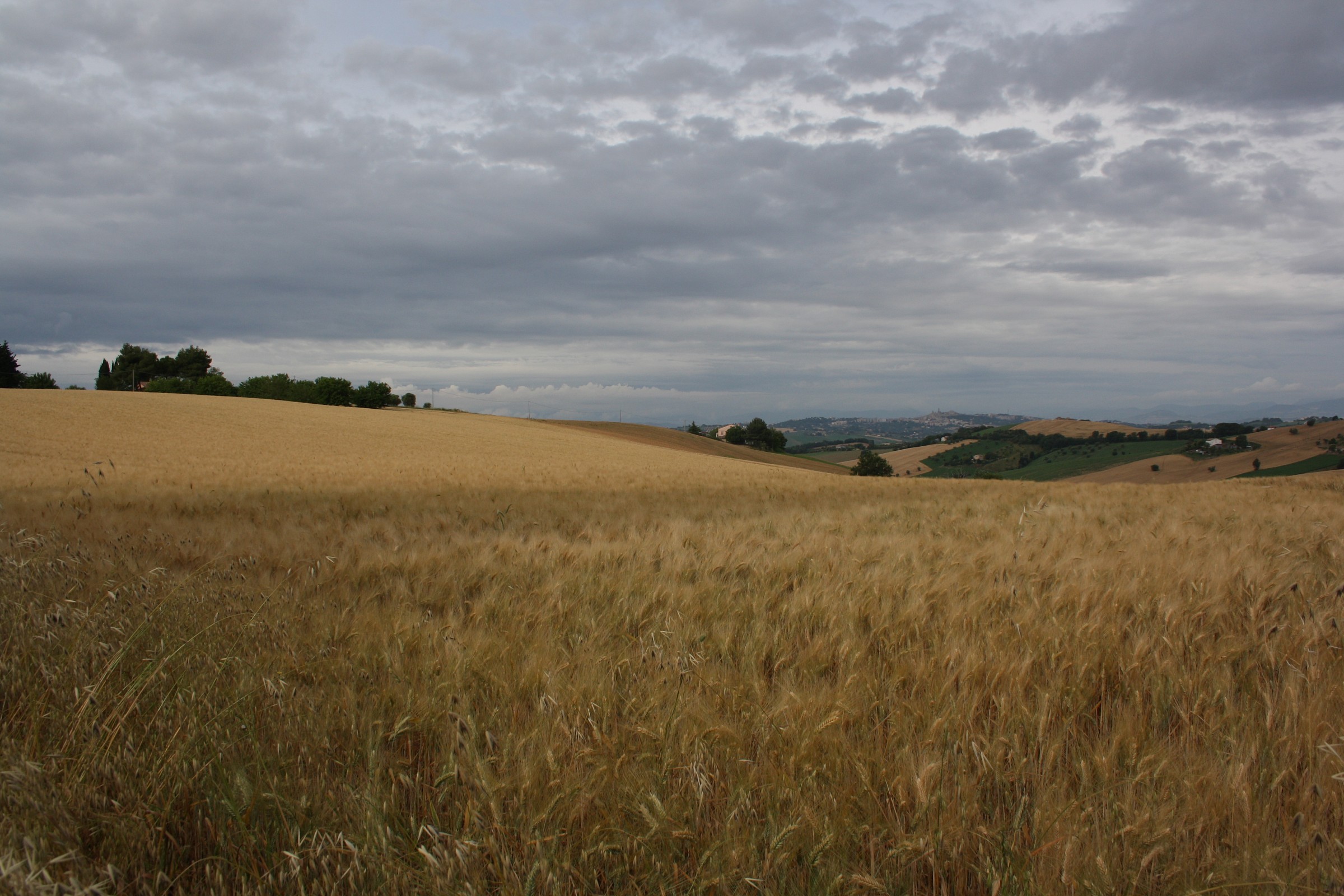 cattivo tempo si avvicina