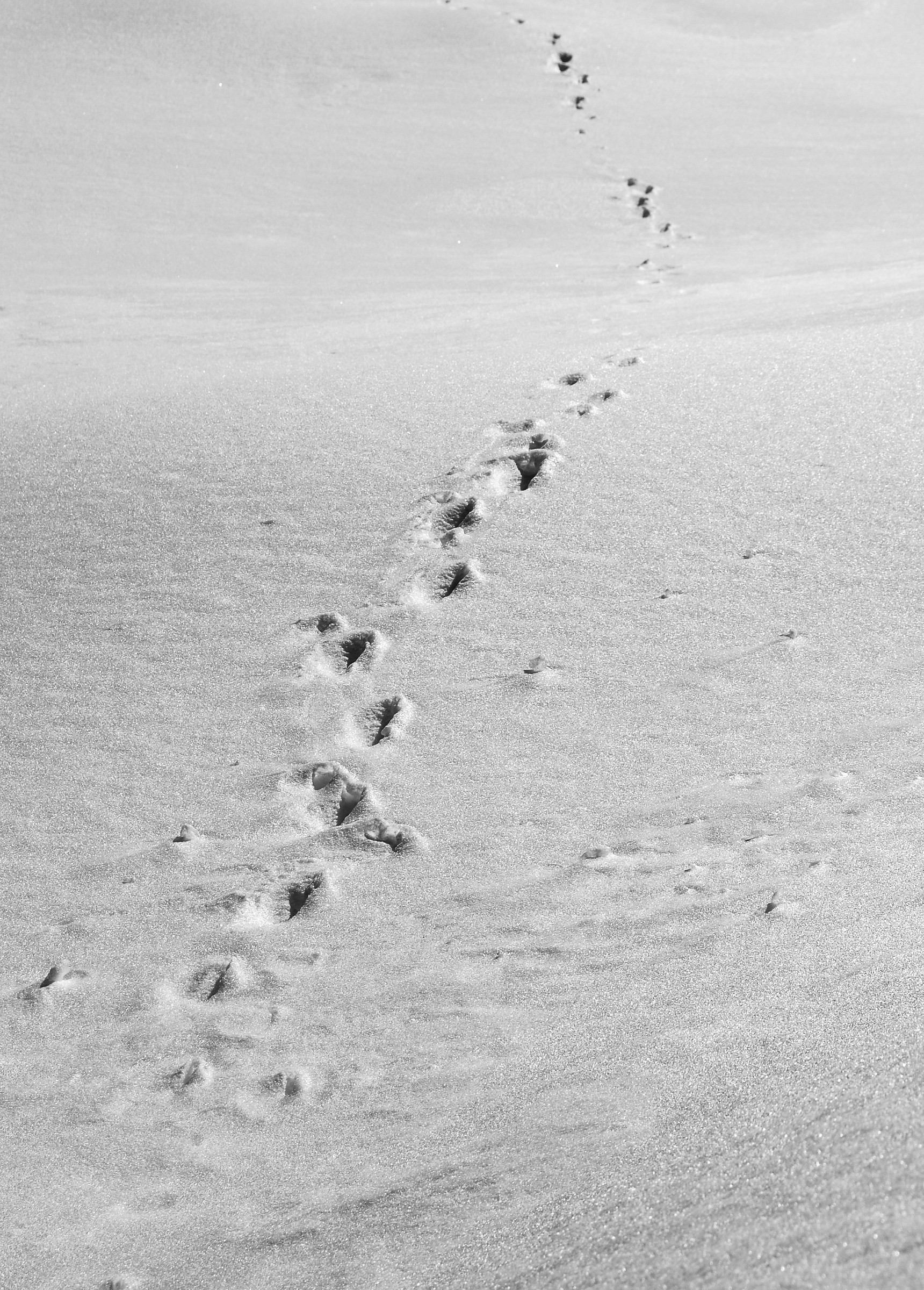 Footprints