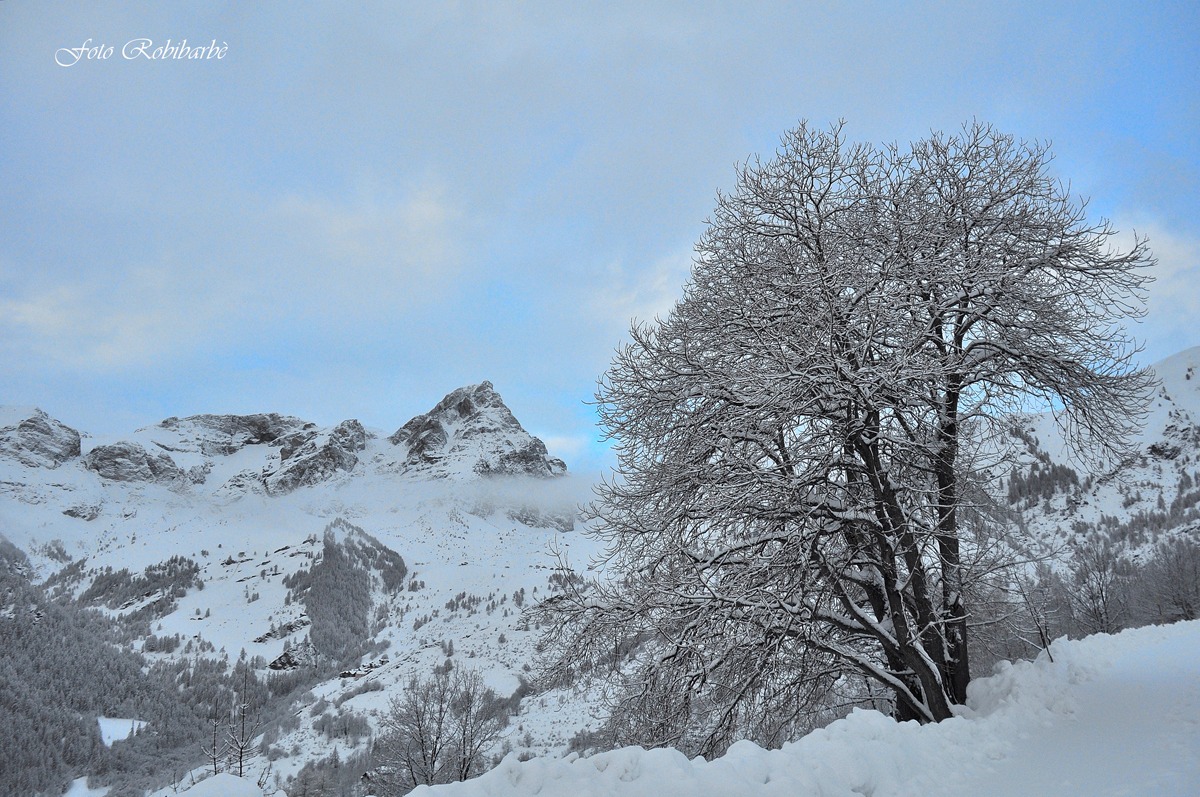 Quando la neve.......