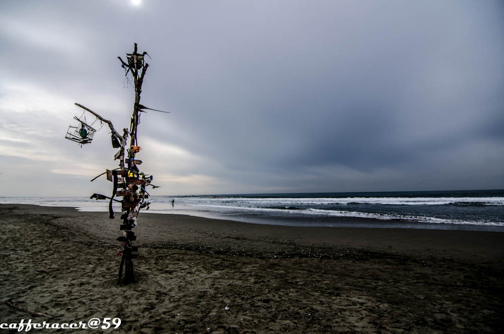 the tree of memories