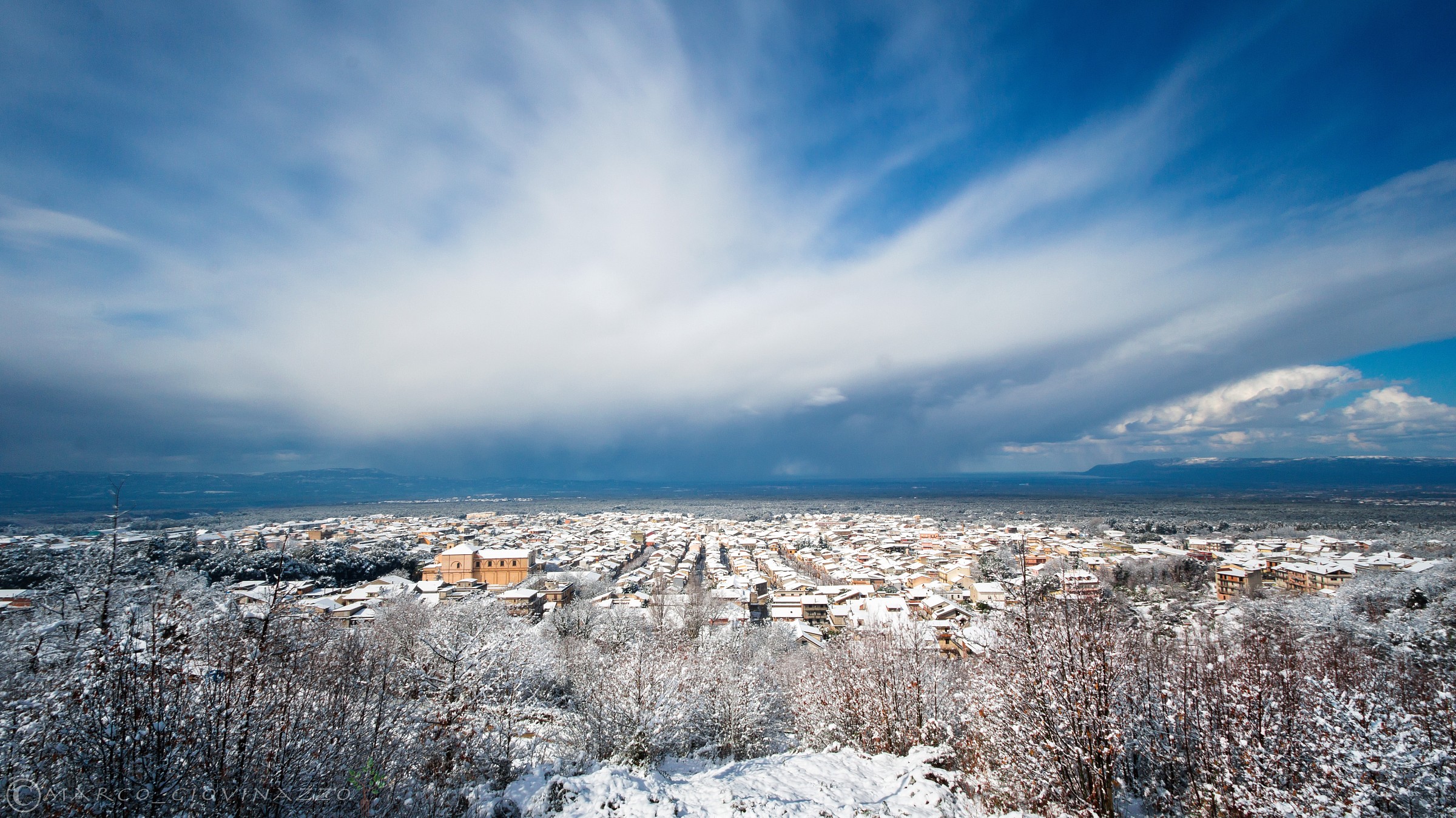 the plain of olive trees snowy