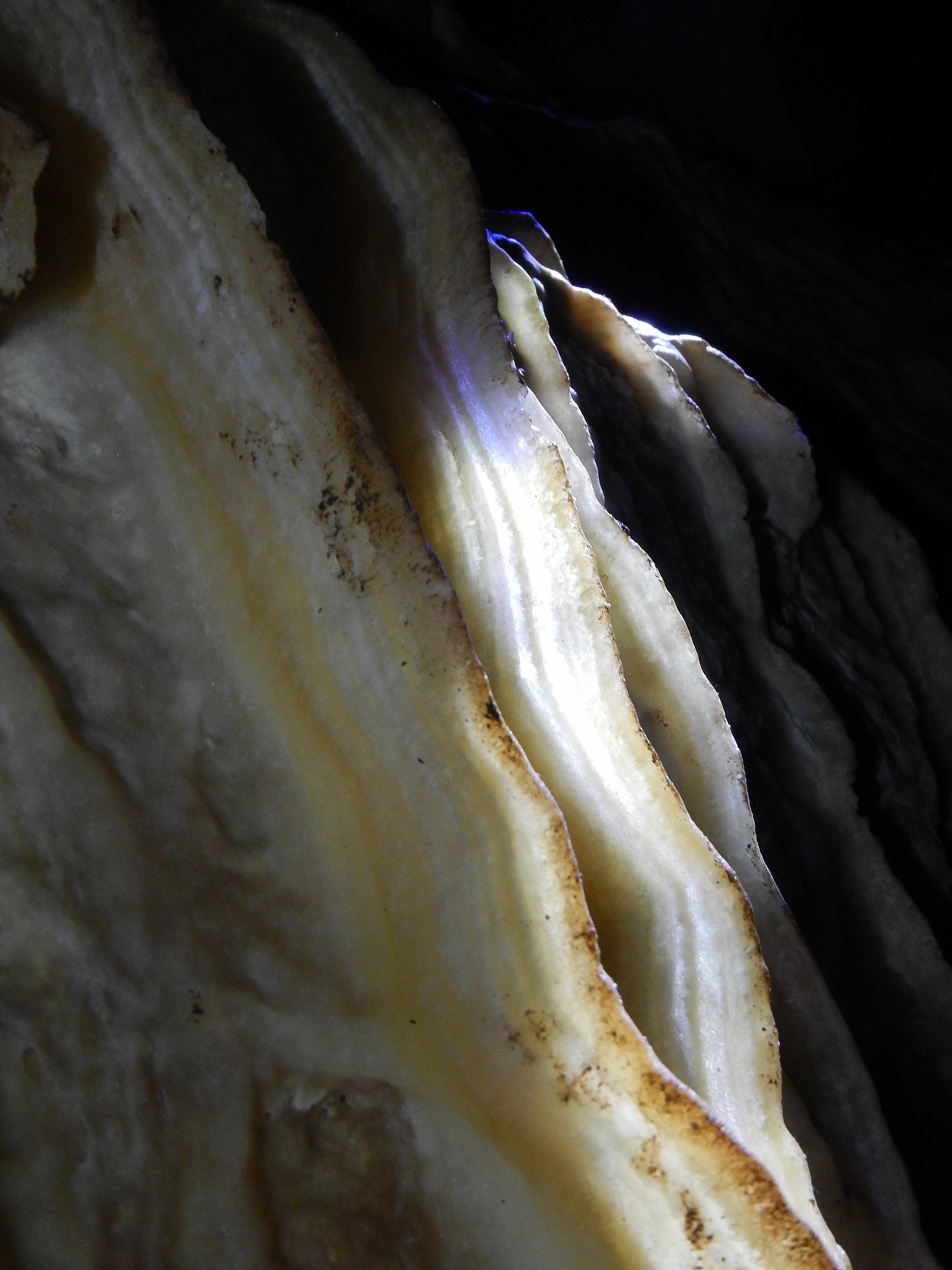 natural creations in cave