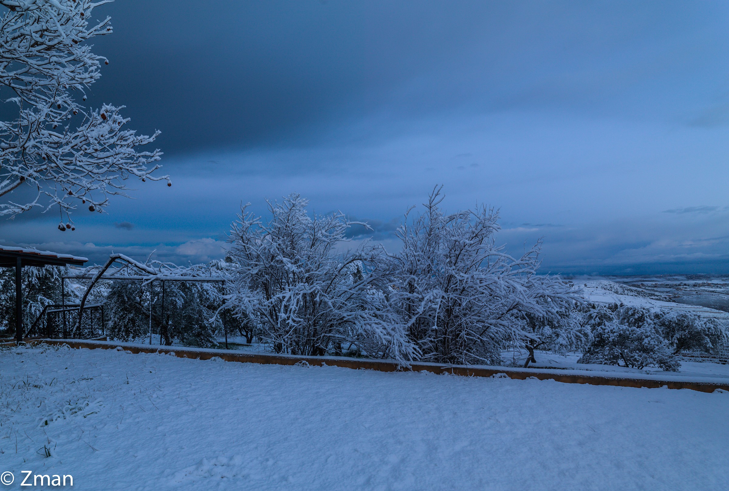 Windy portato un sacco di neve