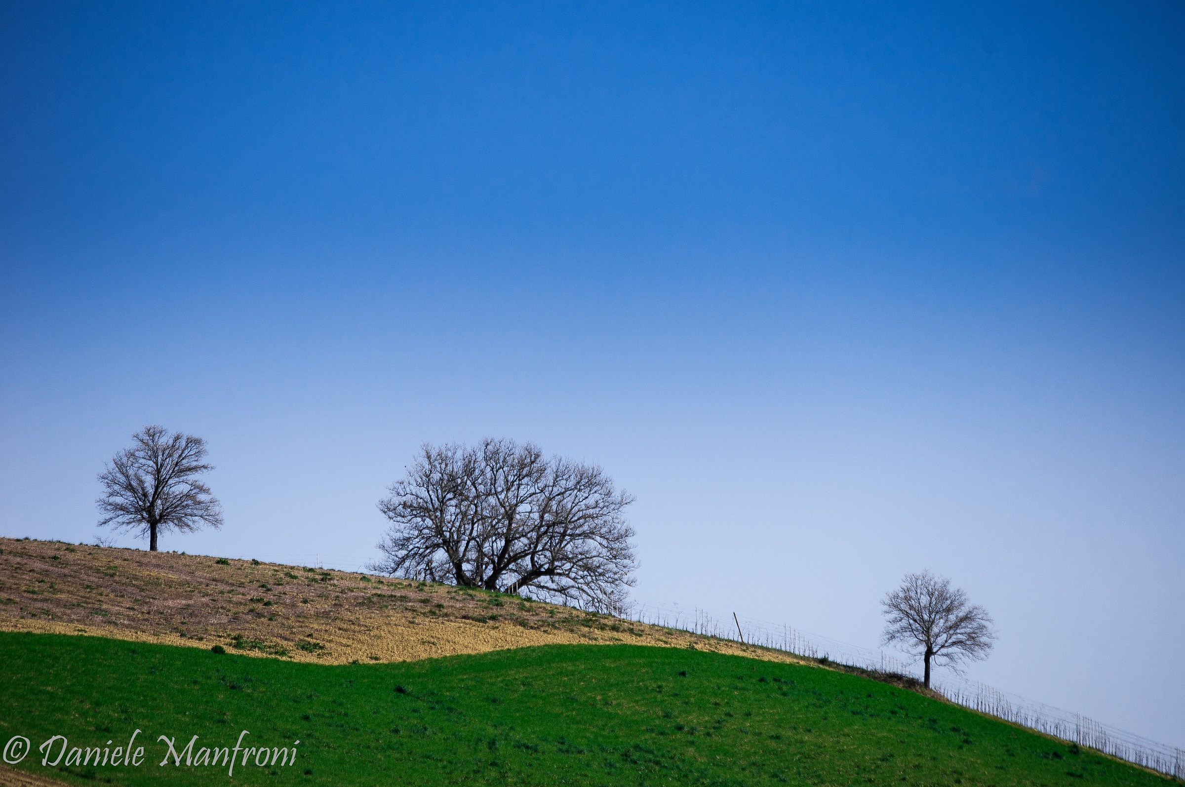 La campagna Marchigiana
