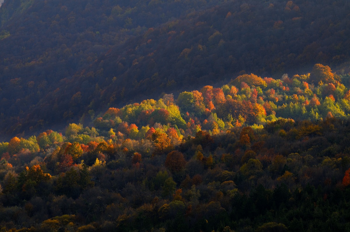 National Park of Abruzzo, Lazio and Molise