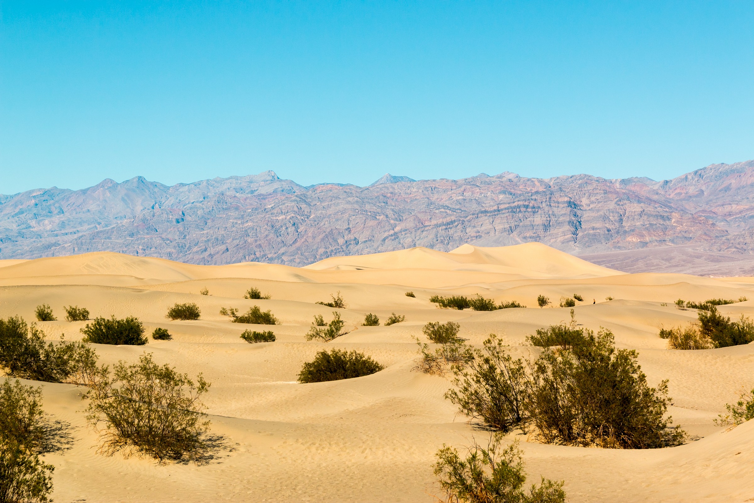 Sand Dunes - Death Valley