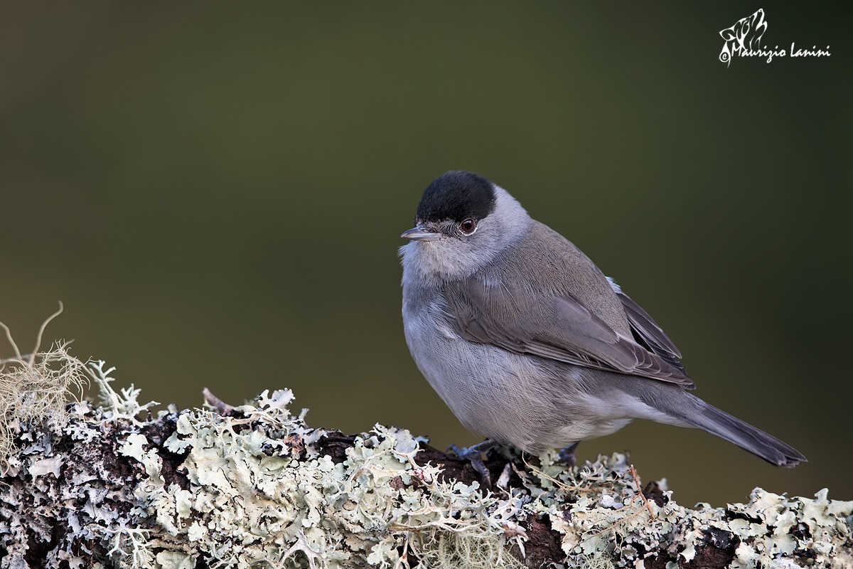 In a moment of non-aggressiveness