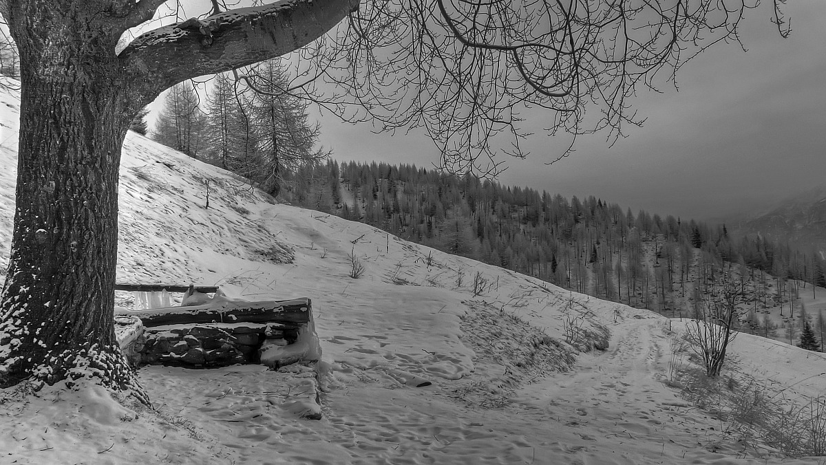 Silenzio nel Lagorai