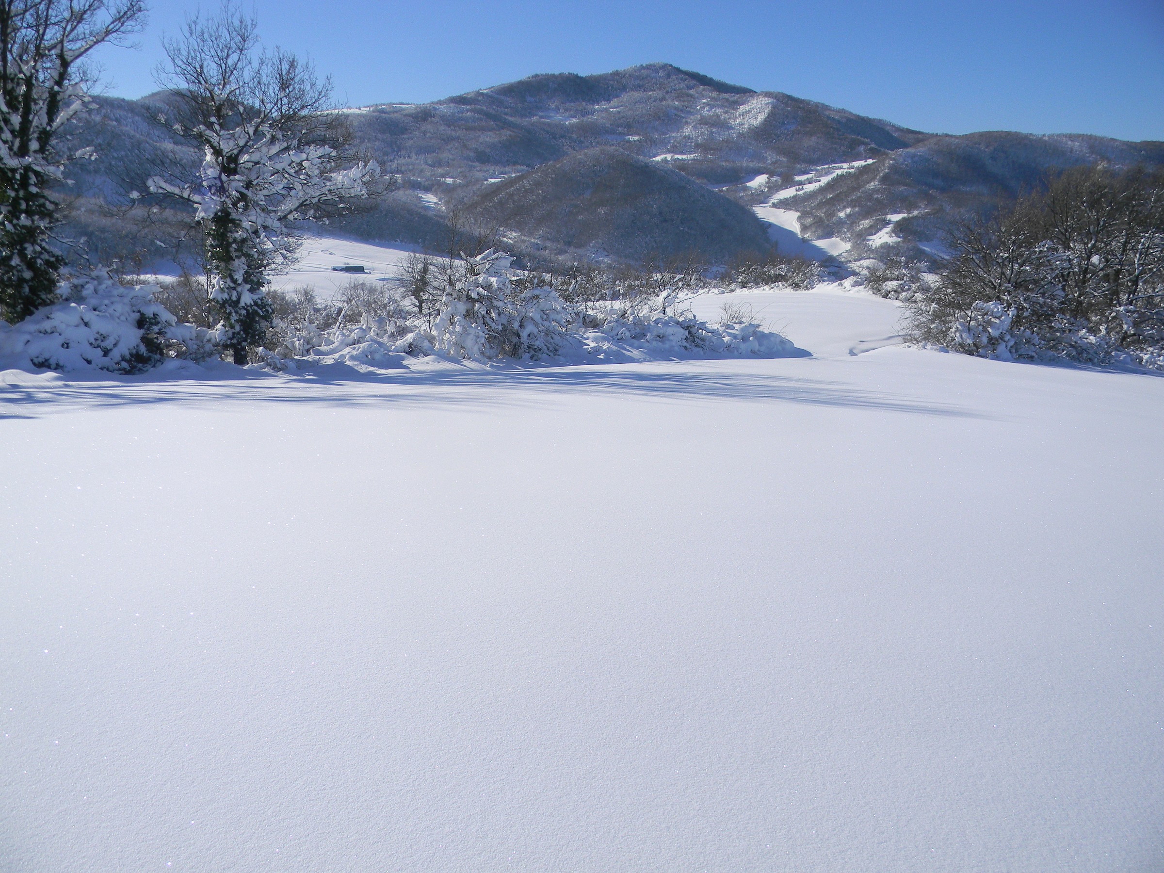 the slopes of Mount Sporno (pr)