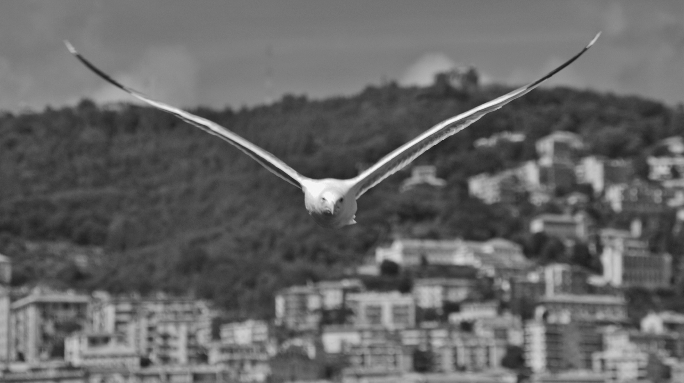 Incontro Ravvicinato