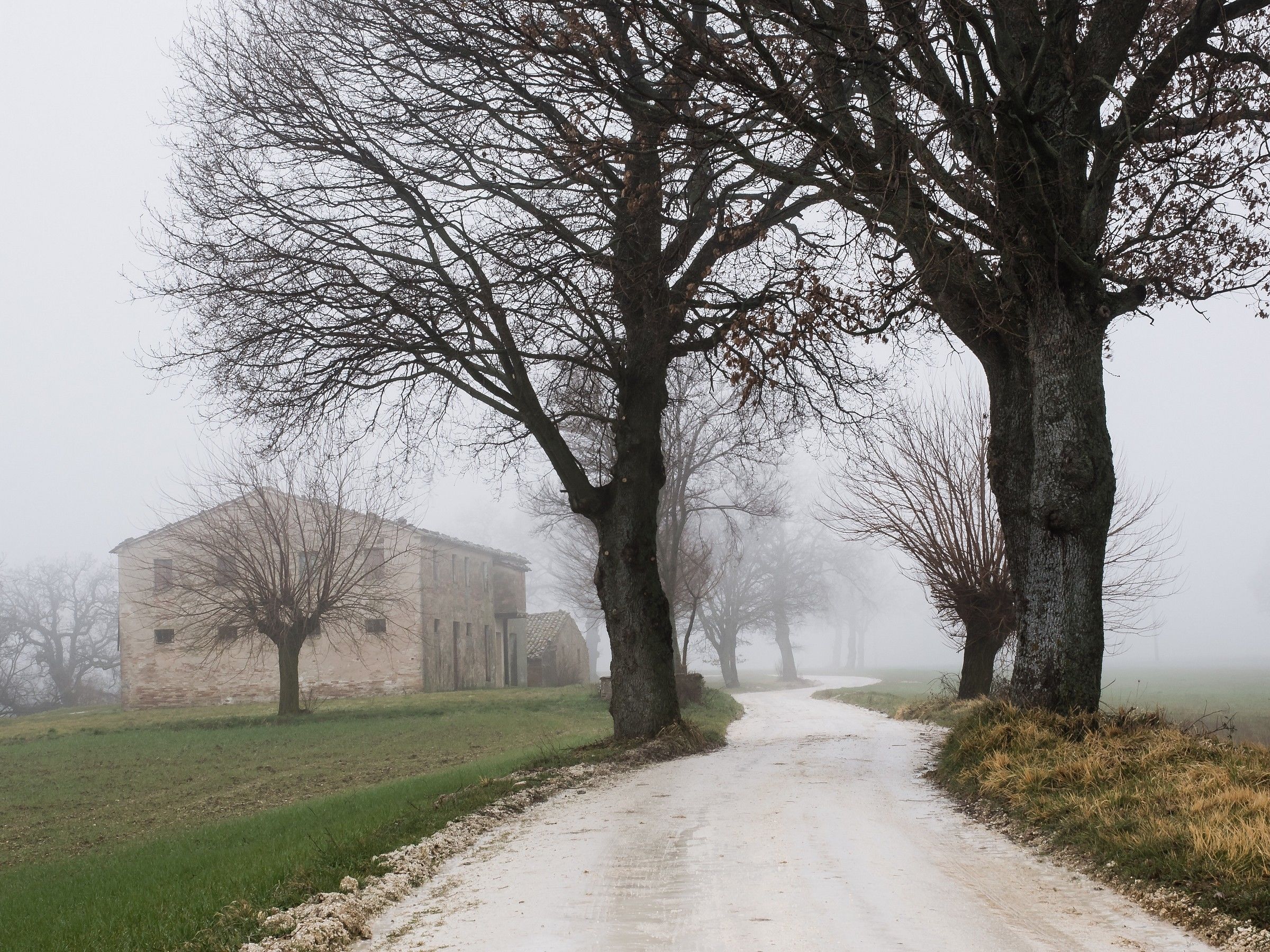 Passeggiata nella nebbia