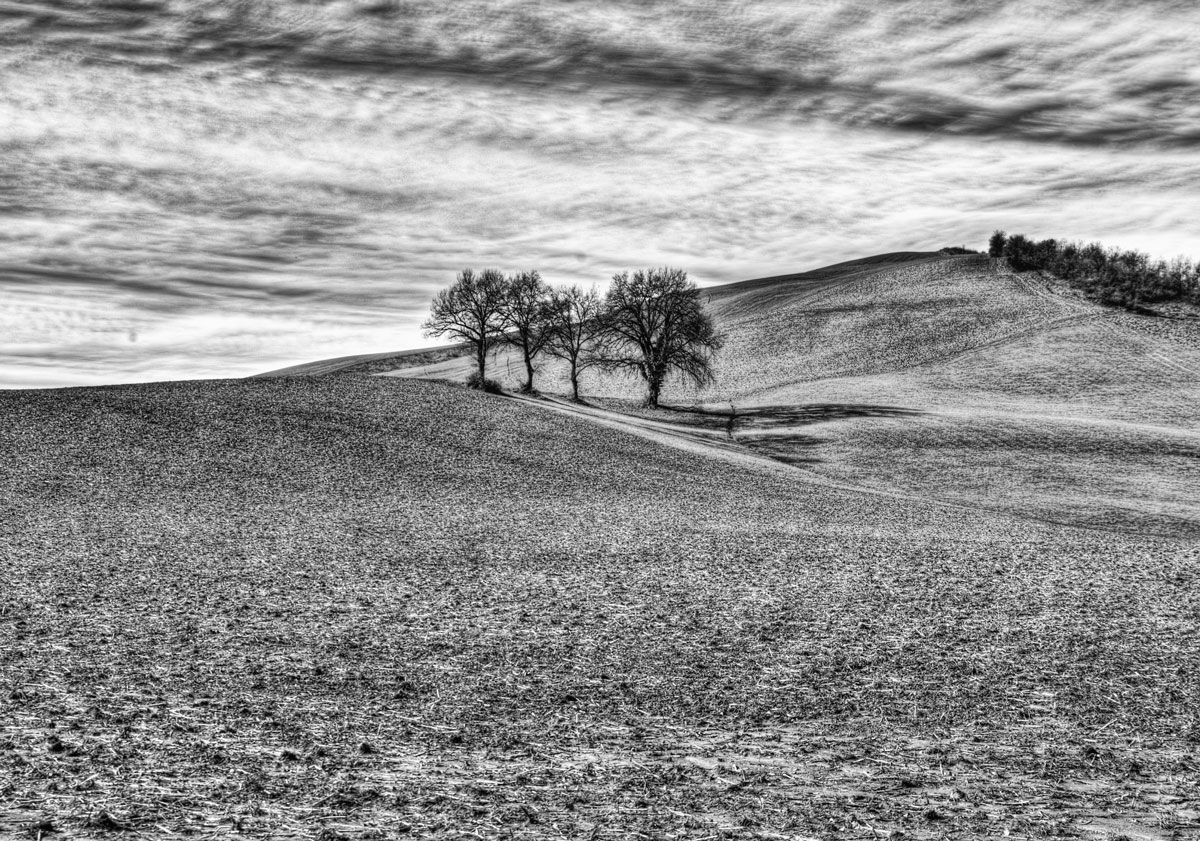 landscape b&w