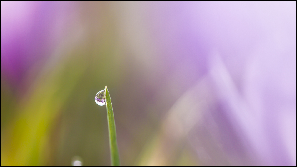 Droplet