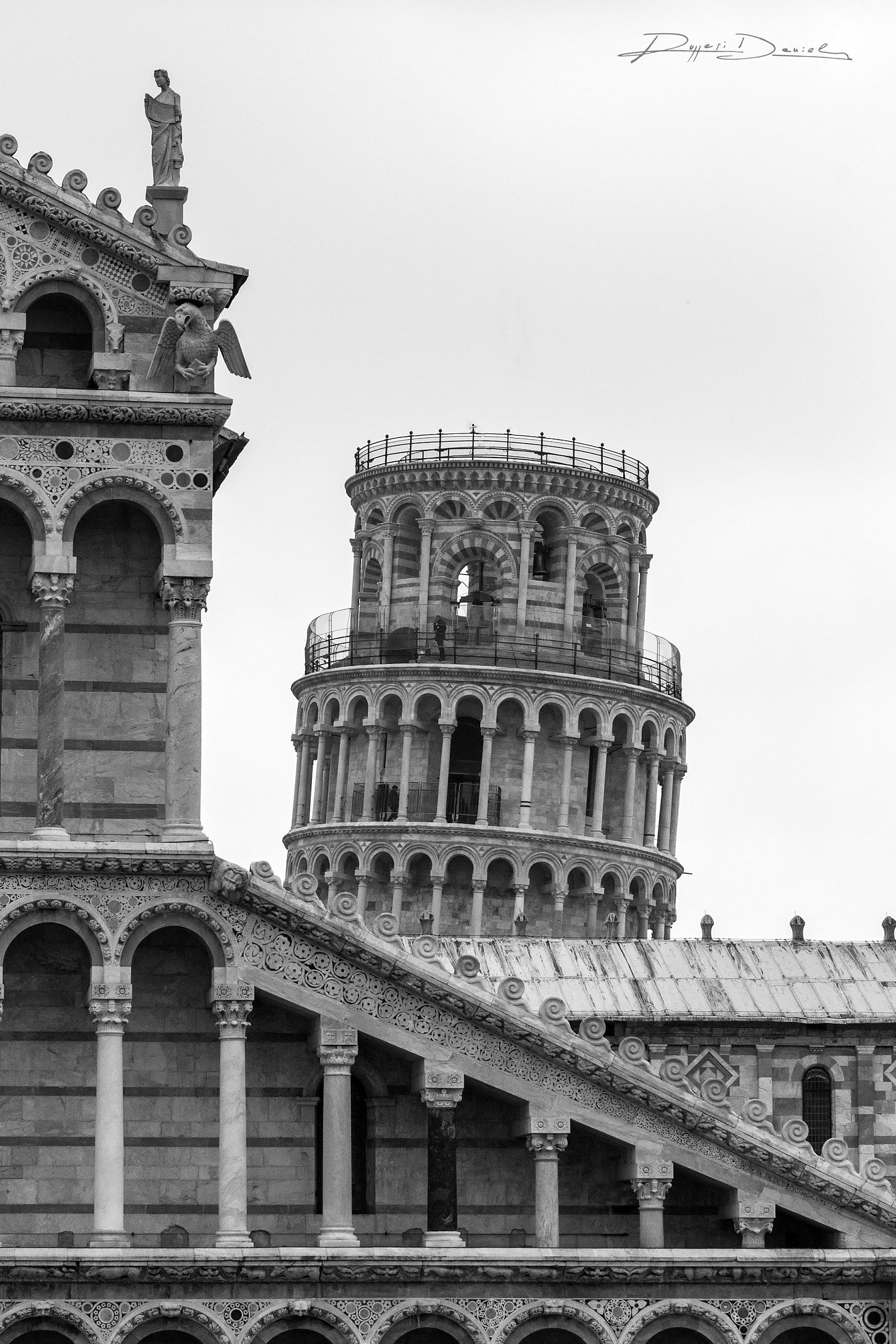 Pisa _ Field of Miracles