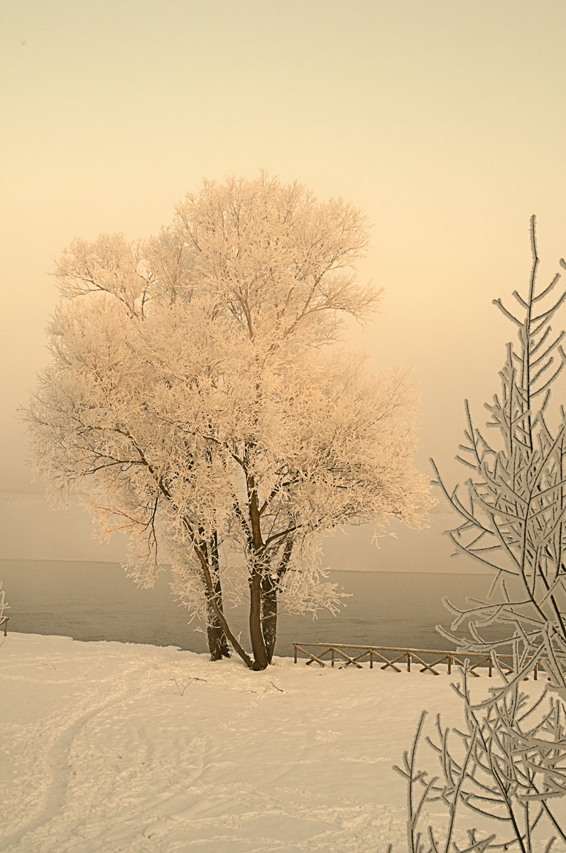 Galaverna to the bank of the Po