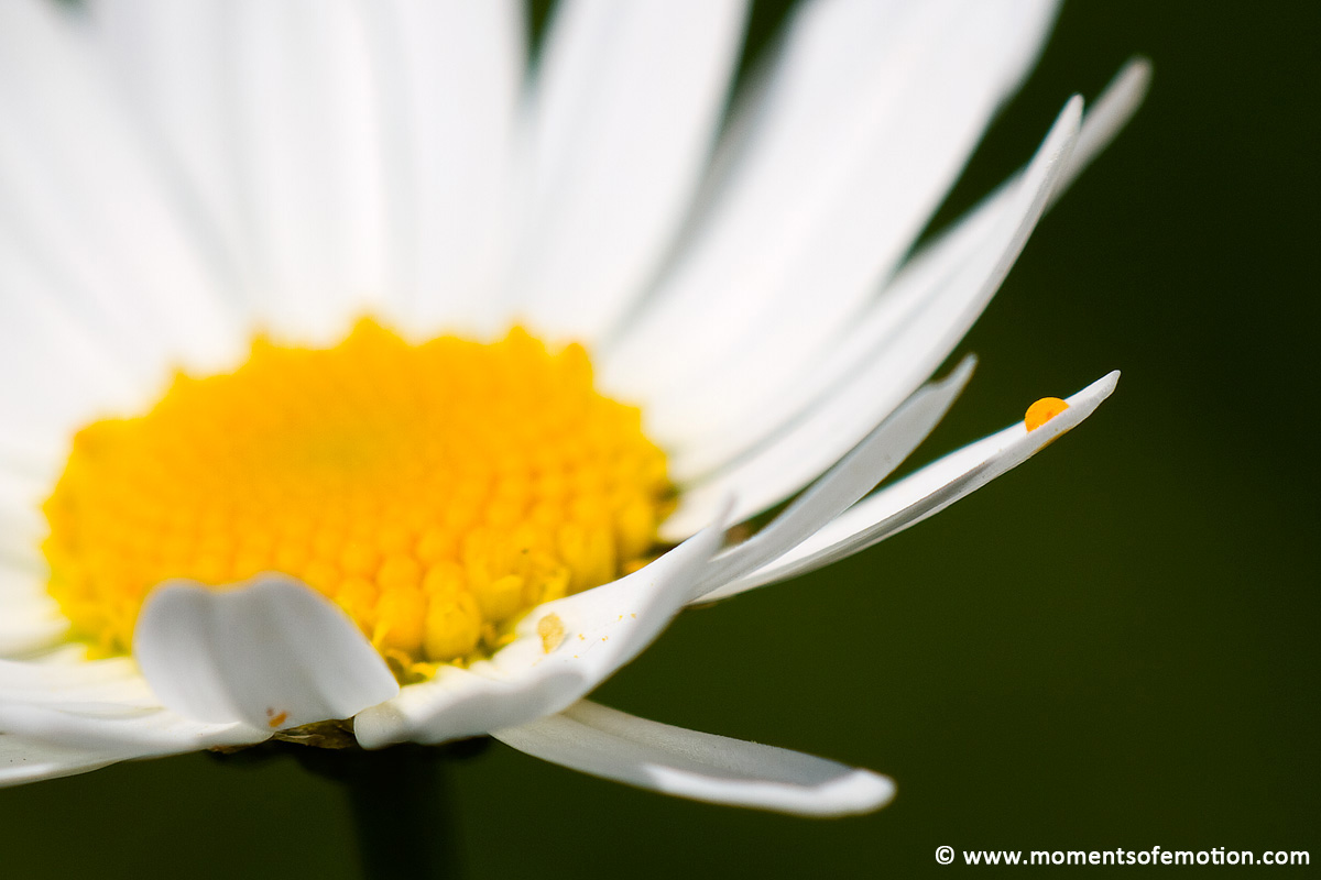 outside the center ......