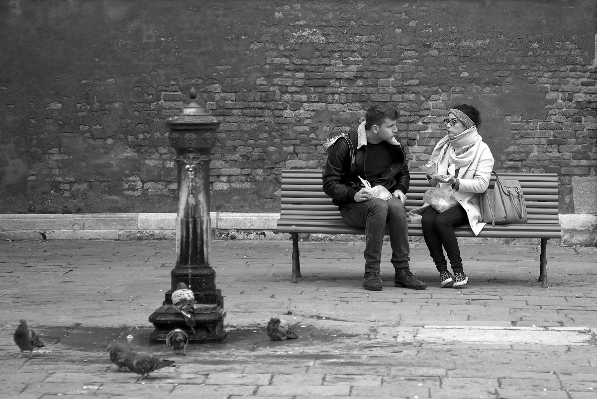 Pigeons and Lovebirds