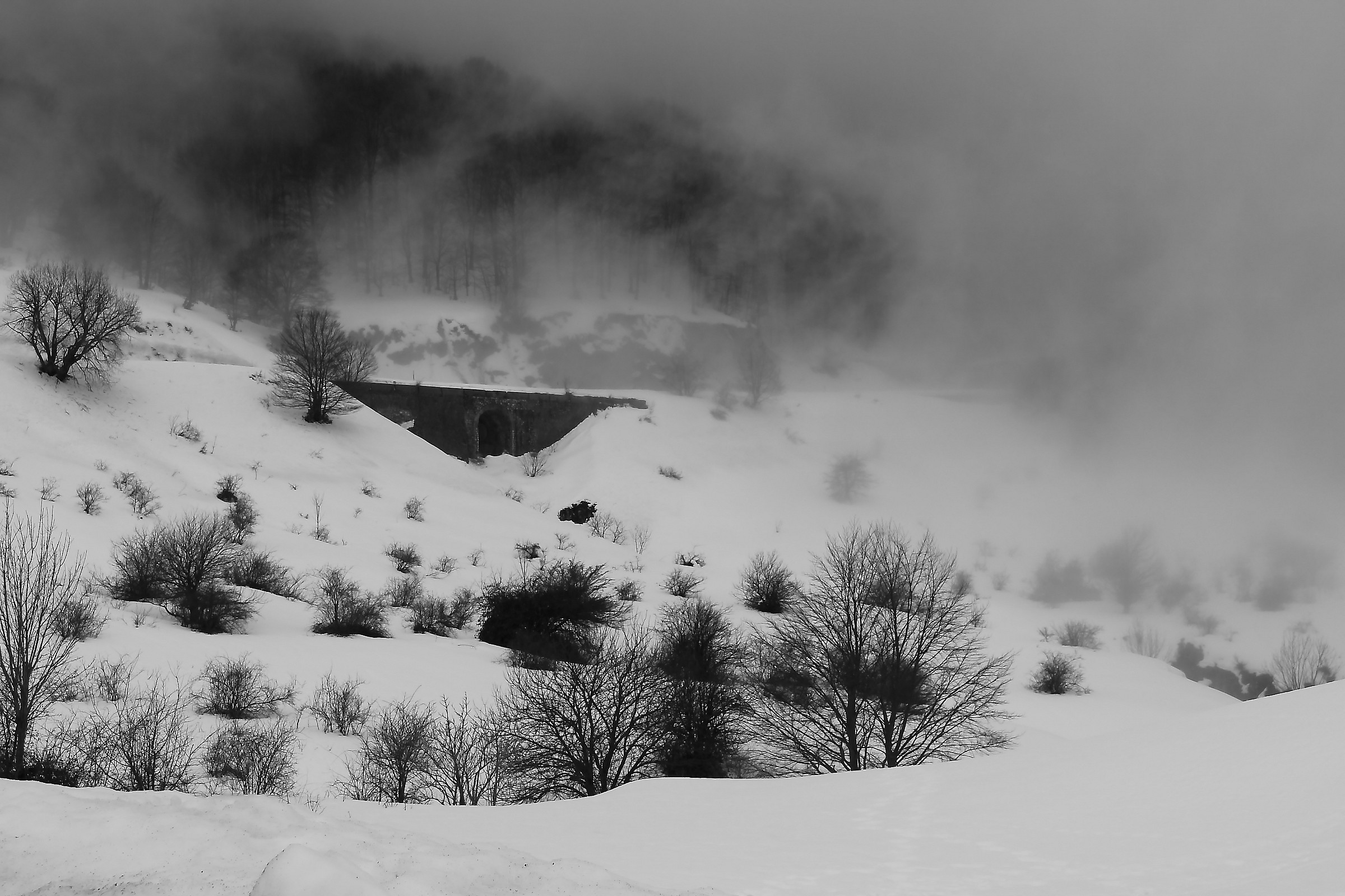 Aspettando il sereno