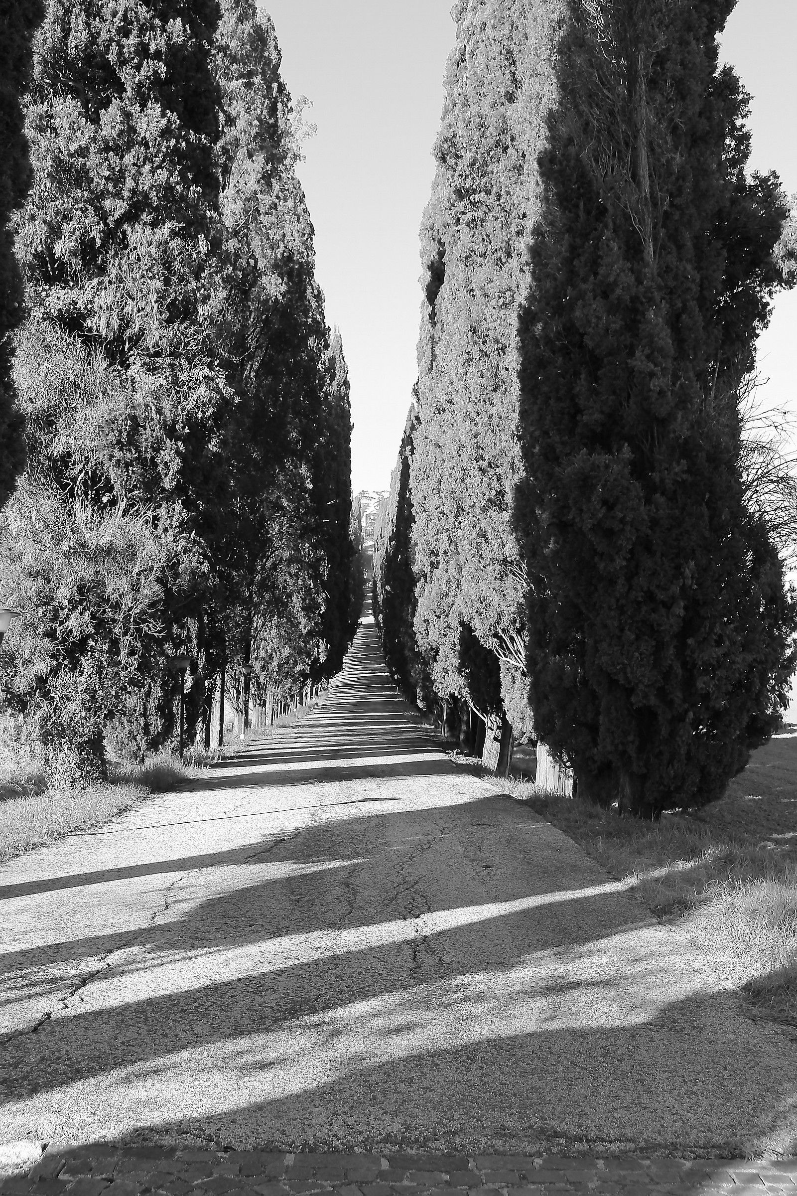 Vialetto Villa Romana