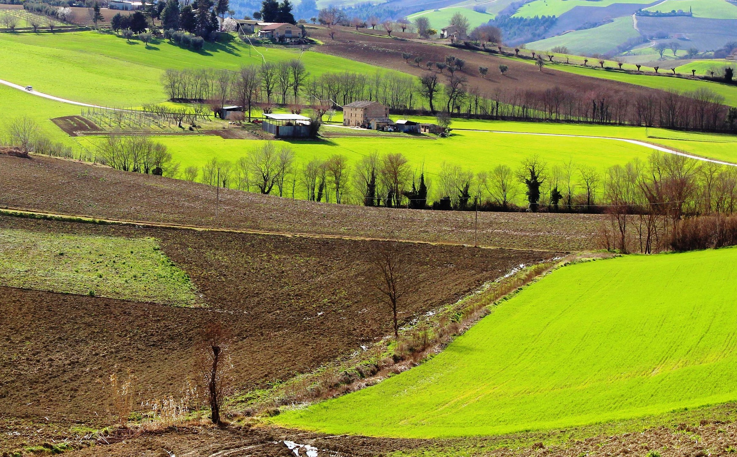 Geometries of the Colli Maceratesi