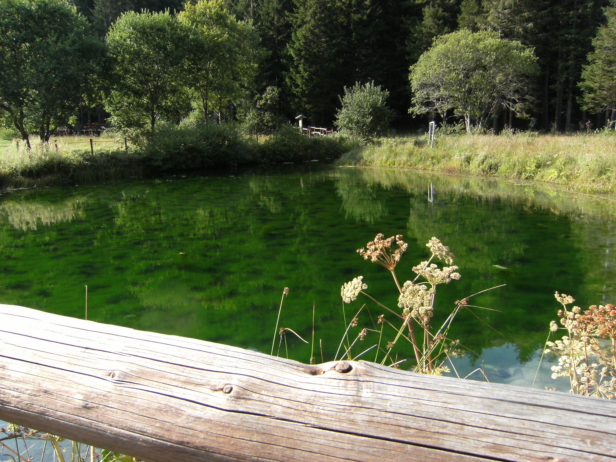 Pond Apennine