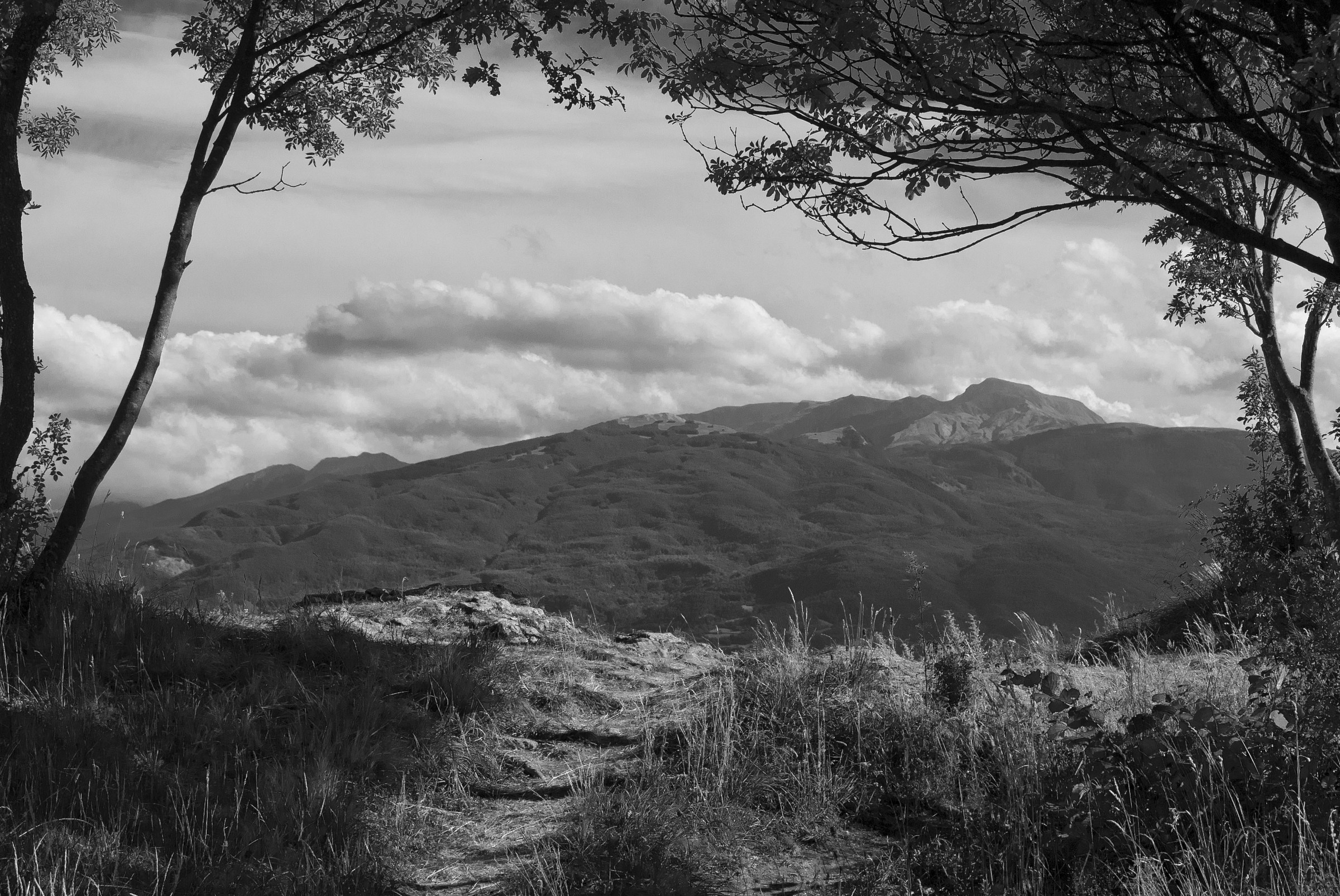 Mount Cusna from Bismantova