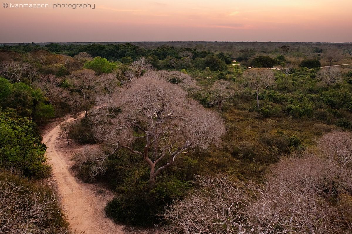Una grande pianura alluvionale