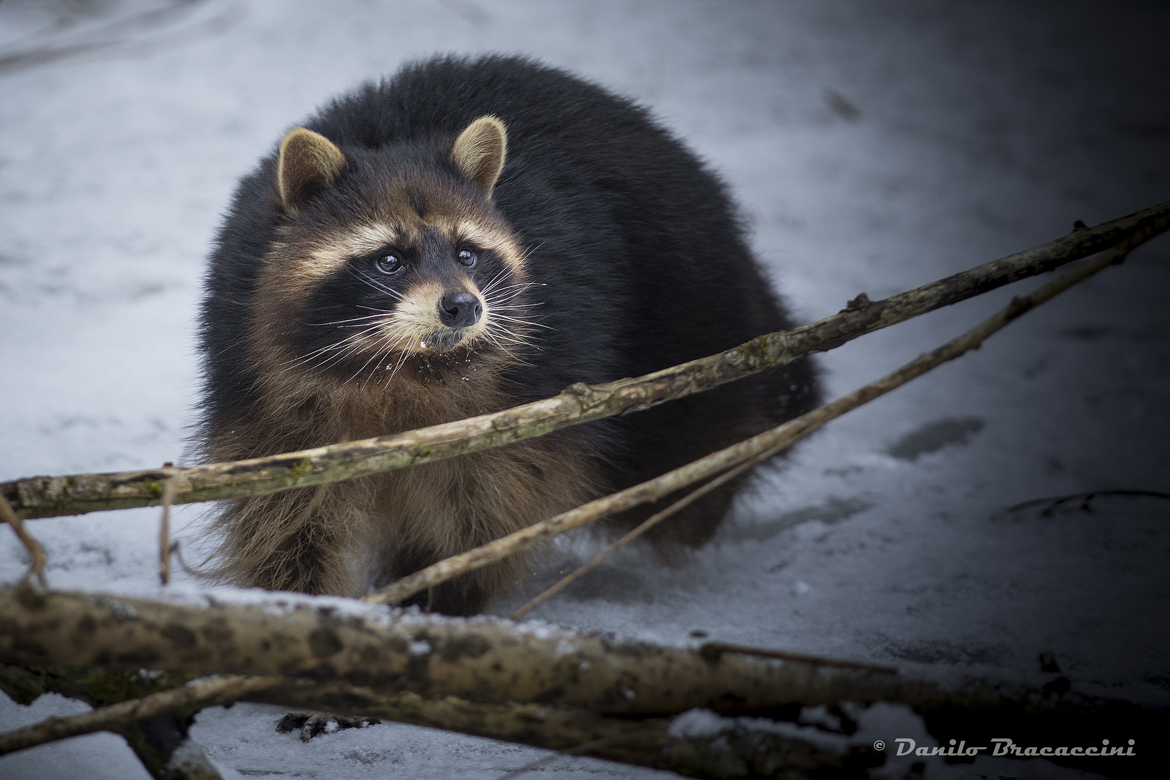 Un simpatico incontro....