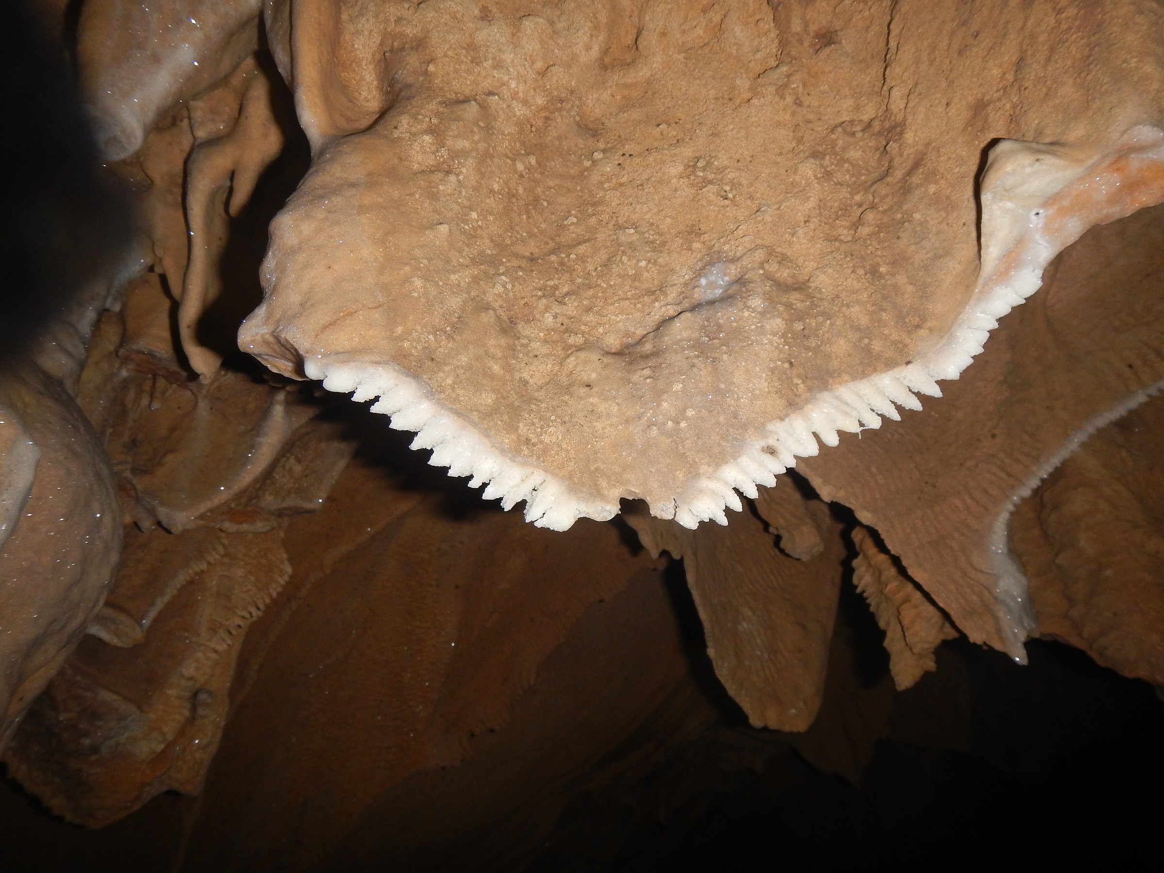 natural creations in cave