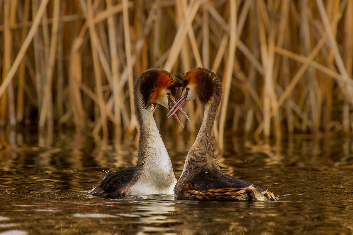 .. all you need is love ...