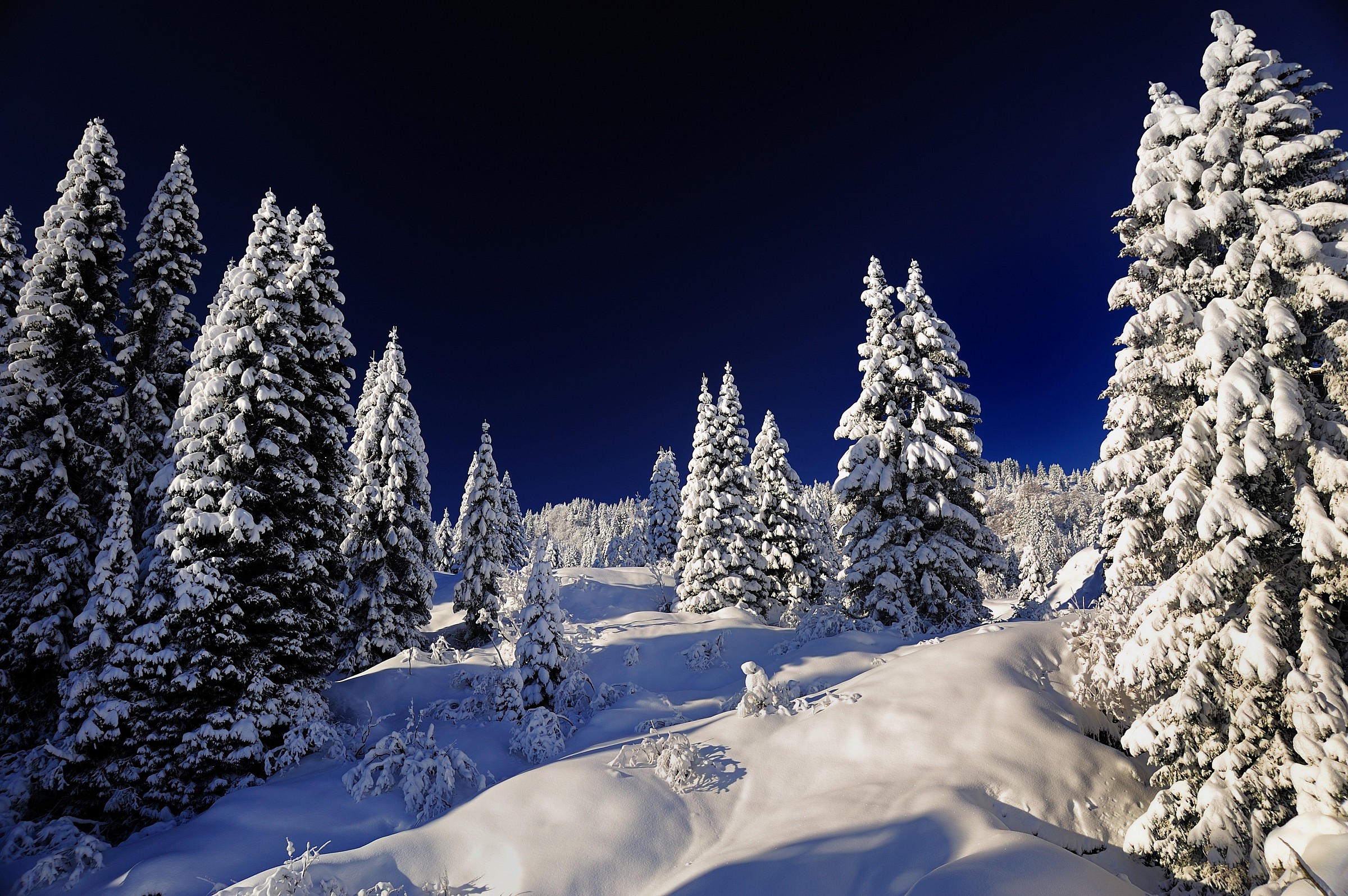 Una bella nevicata...