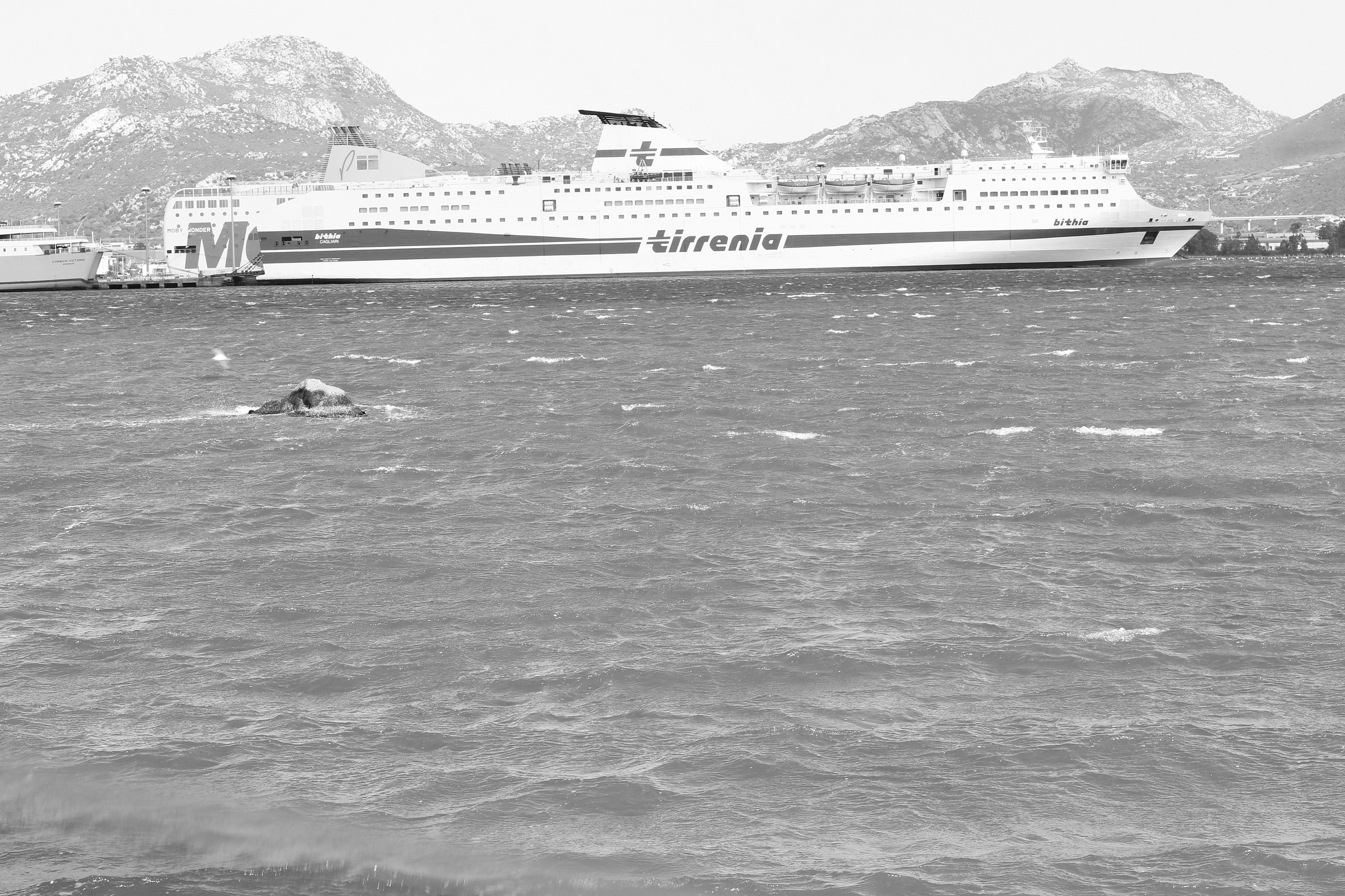 La nave...il mare agitato.Monocromia