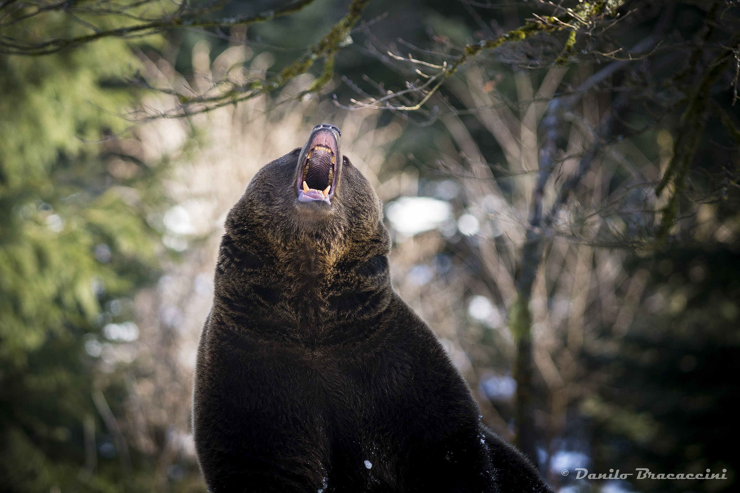 Urca if they are bad !!!