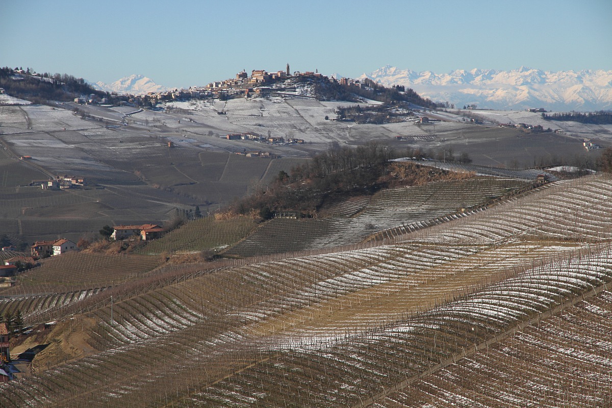 Langhe (cn)
