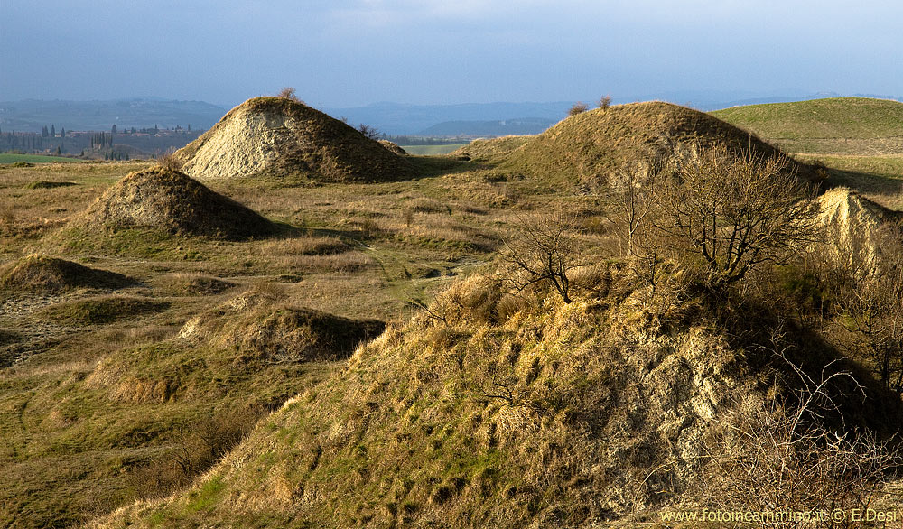 I caratteristici mammelloni
