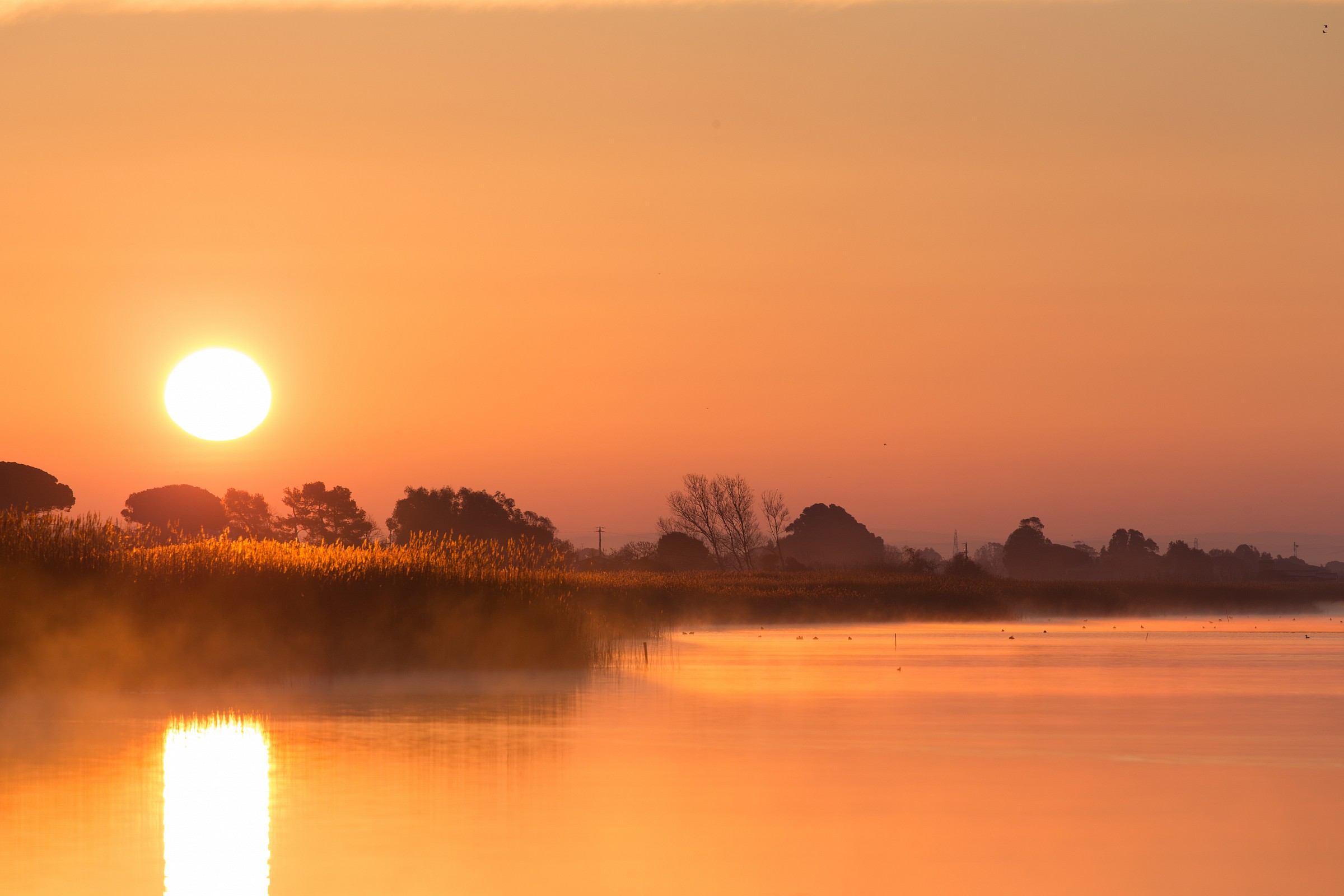 Alba sul Lago di Burano