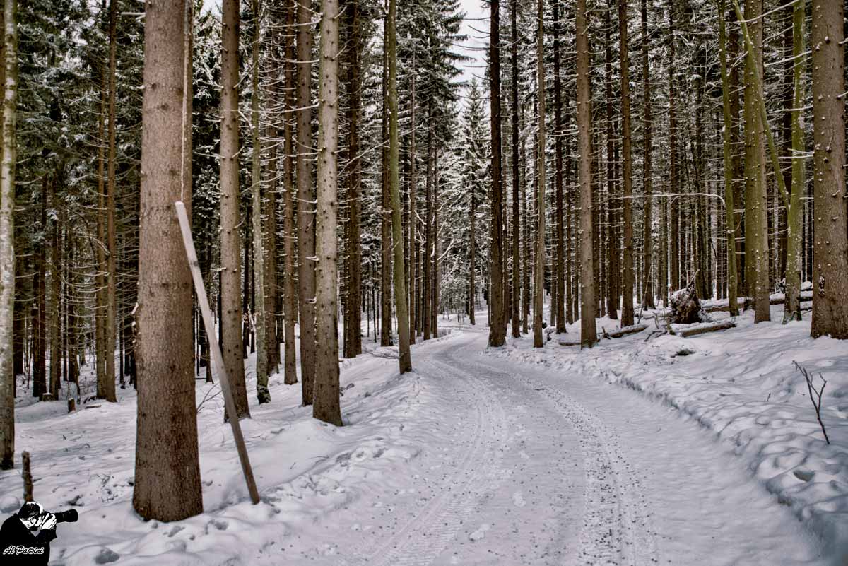 Nationalpark Bayerischer Wald