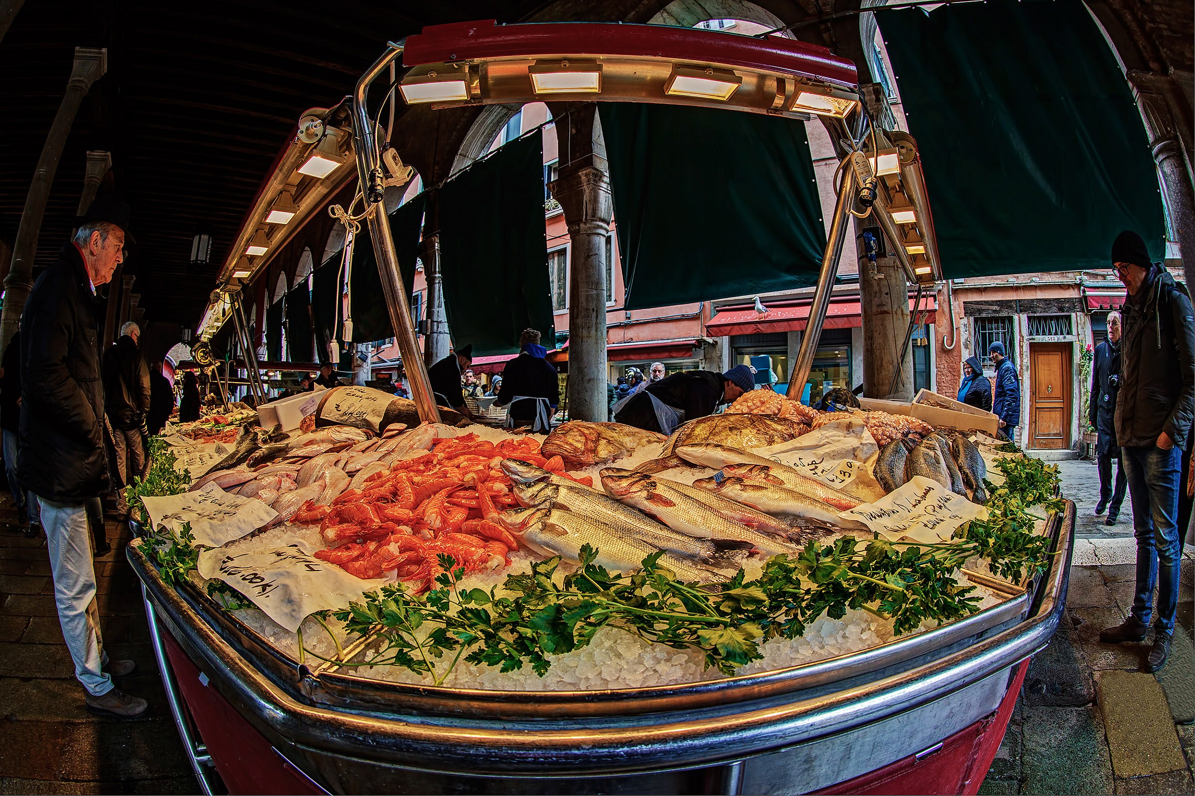 Rialto -fisheye at fish market