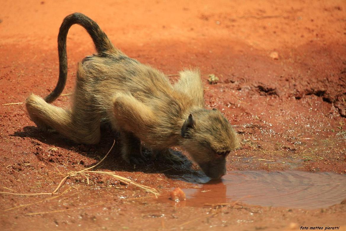 canon 5d mark II canon 70-200 f2.8