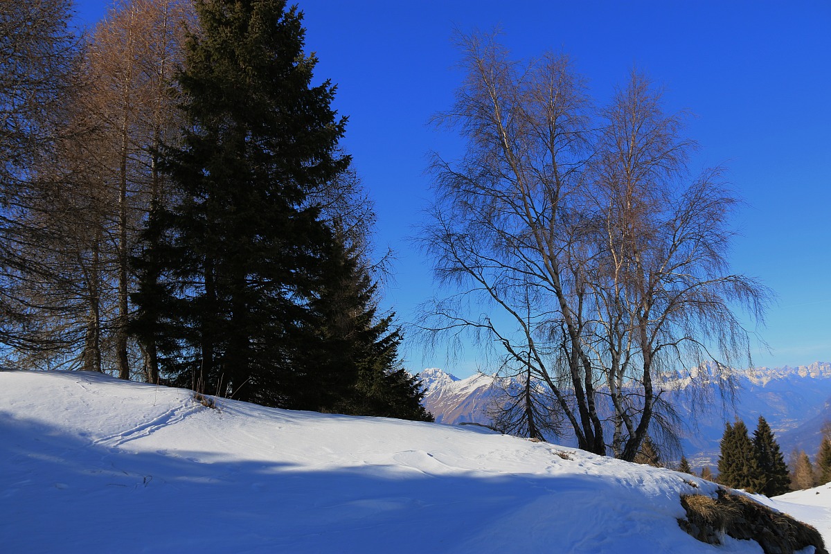 Altopiano del Nevegal