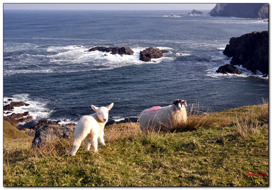 Una simpatica famigliola...