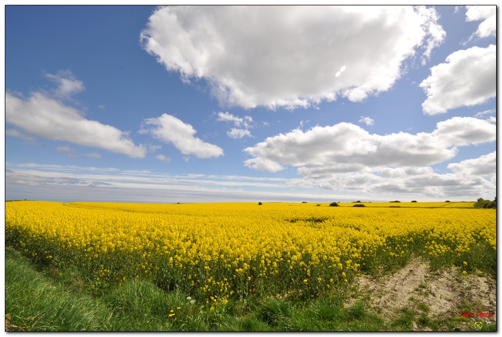 Contrasto di colori!