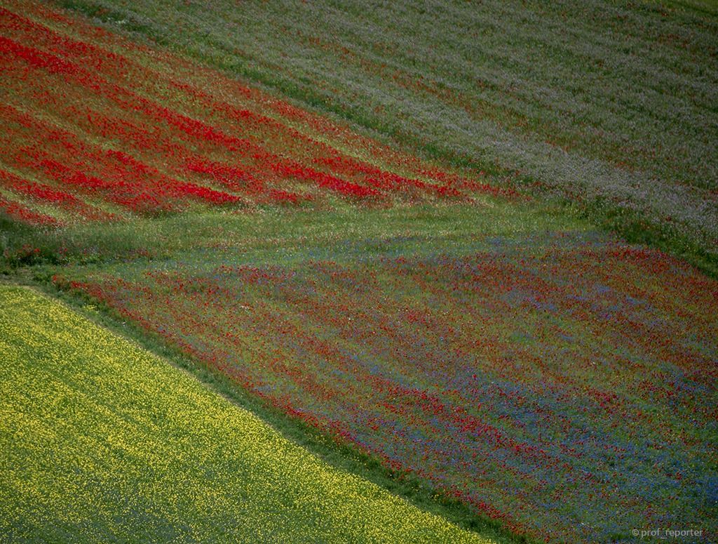 Meglio un mondo a colori
