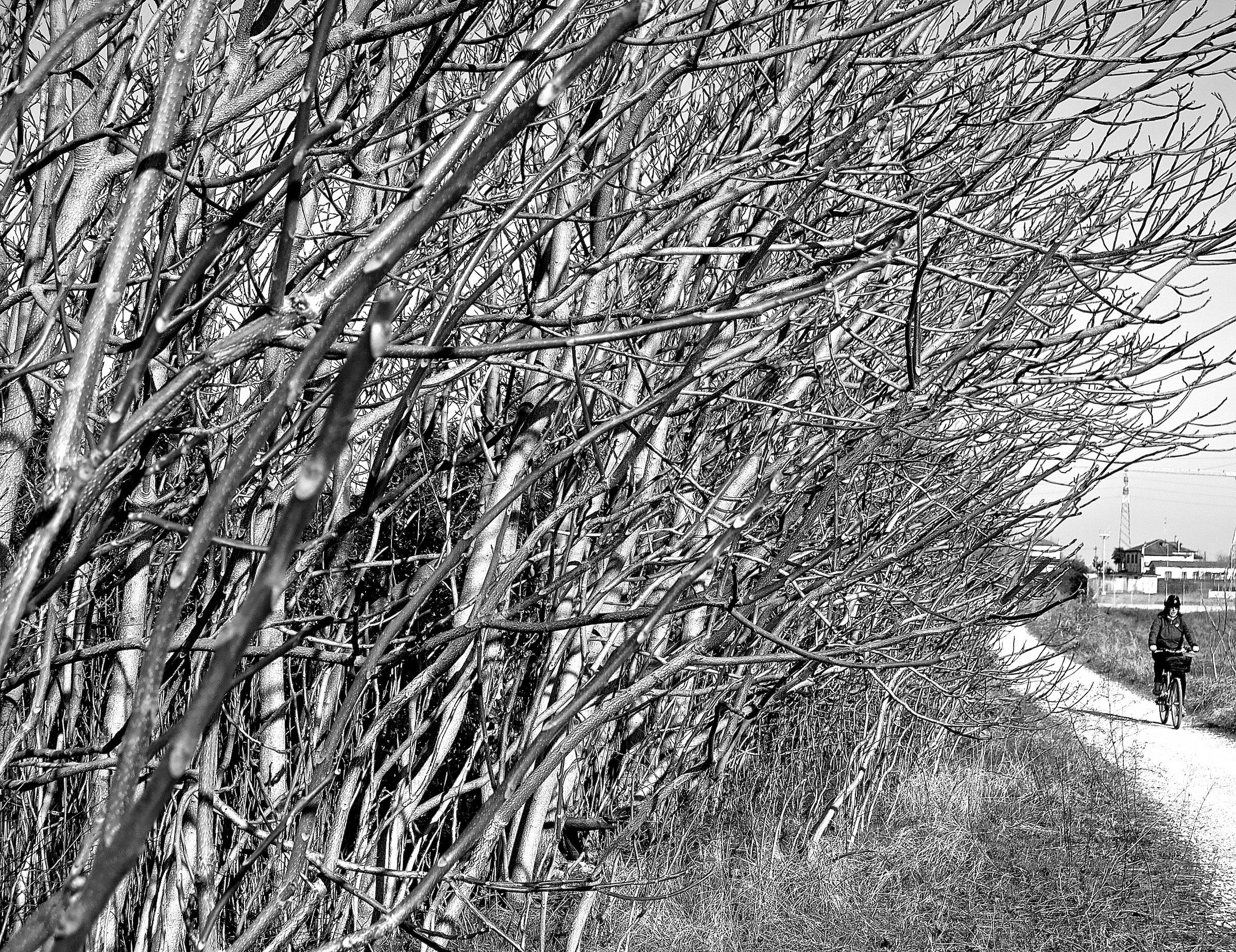 una giornata di sole