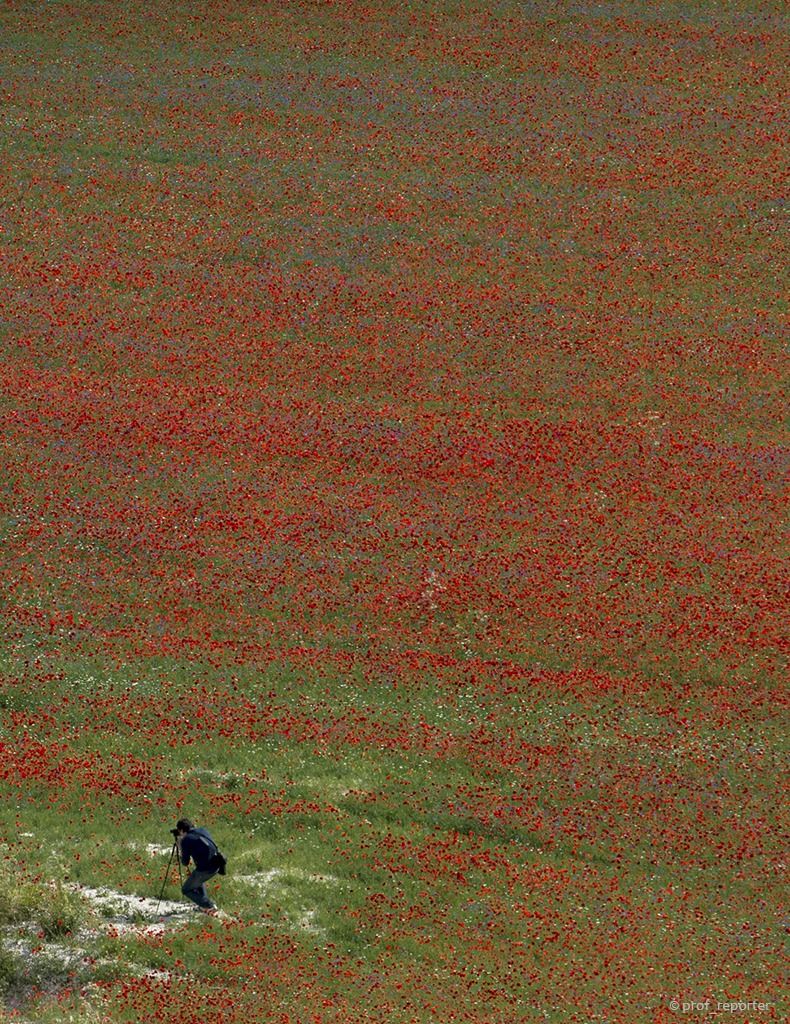 Il fotografo circondato