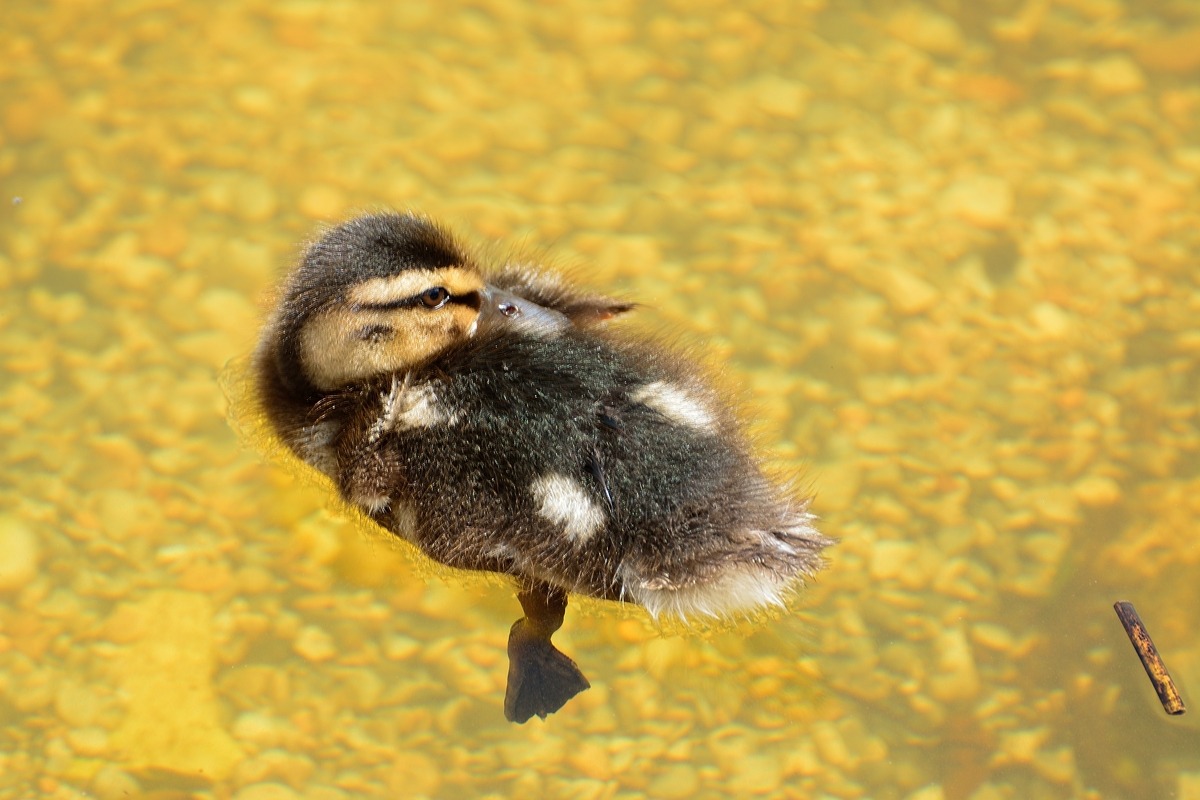 Those who follow me?